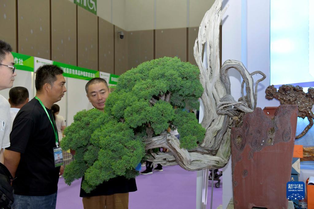 手机版真棋牌
